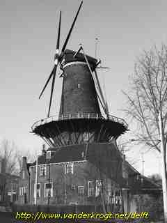 Delft - Molen De Roos