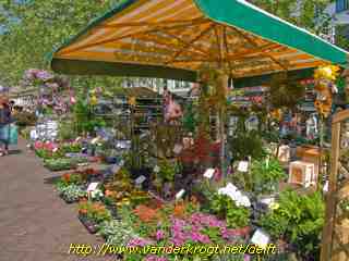 Delft - Bloemenmarkt