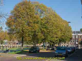 Delft - Hertog Govertkade