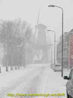 Delft - Molen De Roos