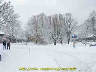 Delft - Westplantsoen