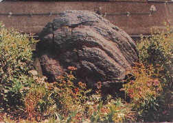 Manganese