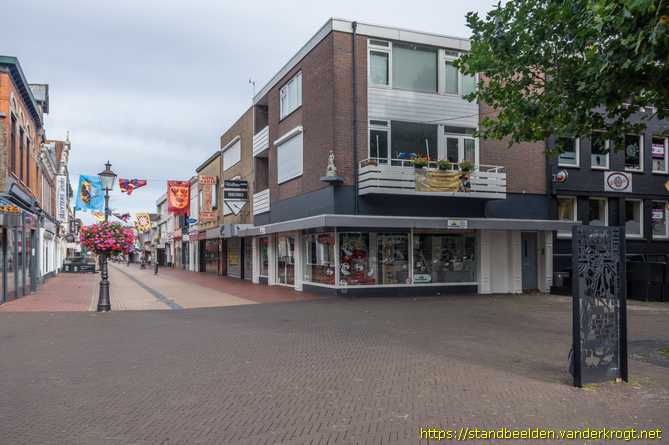 Coevorden -  Ganzenhoedster