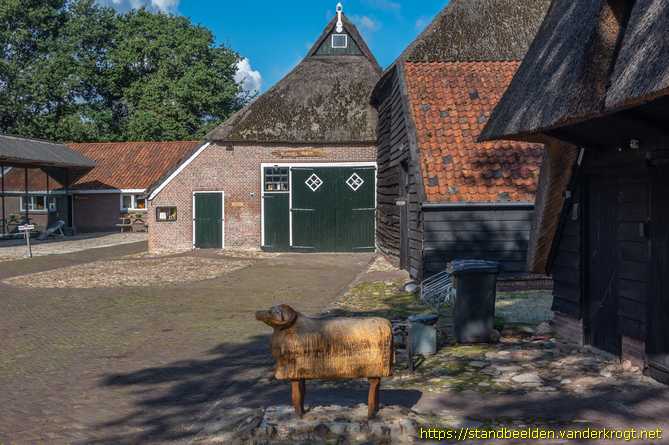 Echten -  Schaap