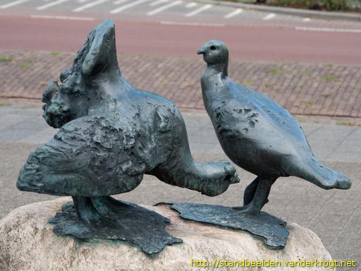 Schoonebeek -  Baltsende korhoenders