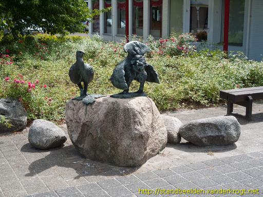 Schoonebeek -  Baltsende korhoenders