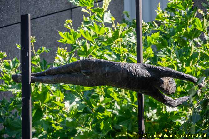 Emmen - De hoge duiker