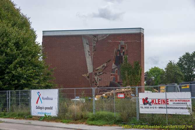 Hoogeveen -  Negatieve en positieve jongeman