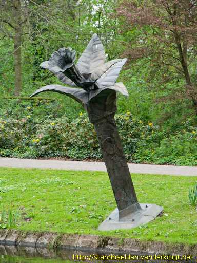 Meppel -  De Narcis