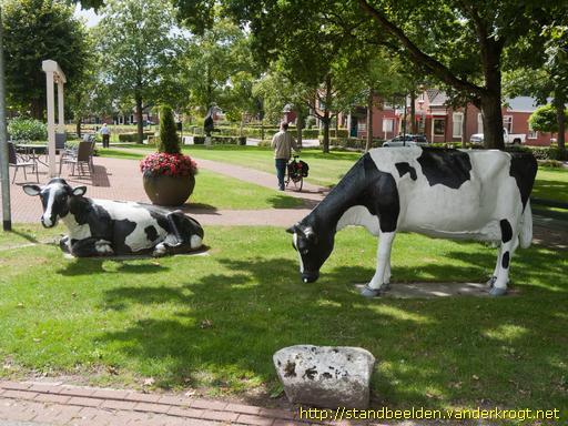 Peize -  Twee koeien