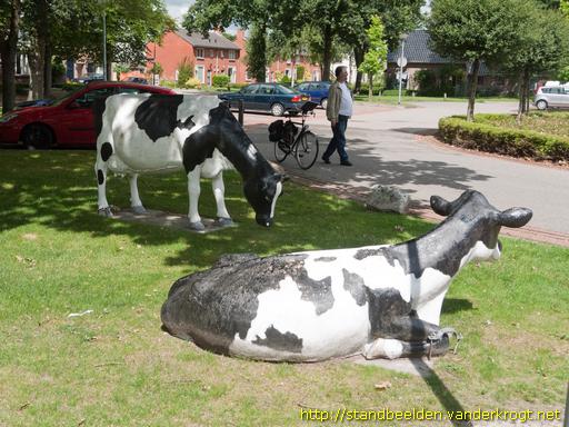 Peize -  Twee koeien