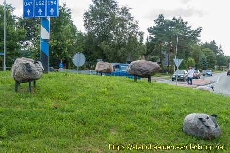 Tynaarlo-Vriezerbrug -  Rotondeschapen