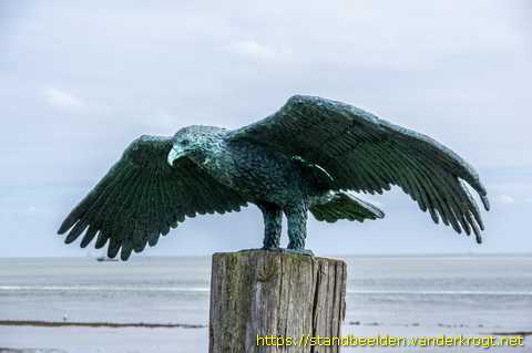 Oost-Vlieland -  Zeearend