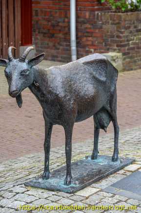 Oost-Vlieland -  Geit