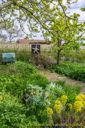 Oost-Vlieland -  Zeester