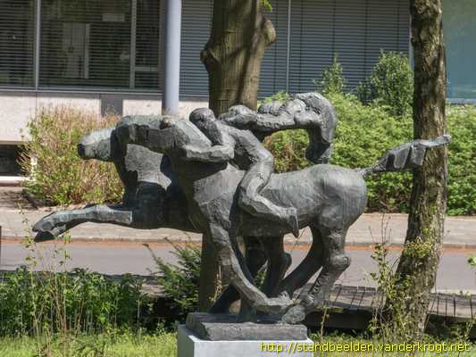 Apeldoorn -  Twee paarden en een ruiter