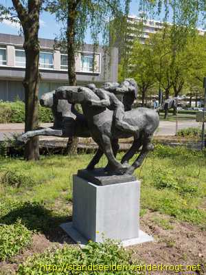 Apeldoorn -  Twee paarden en een ruiter