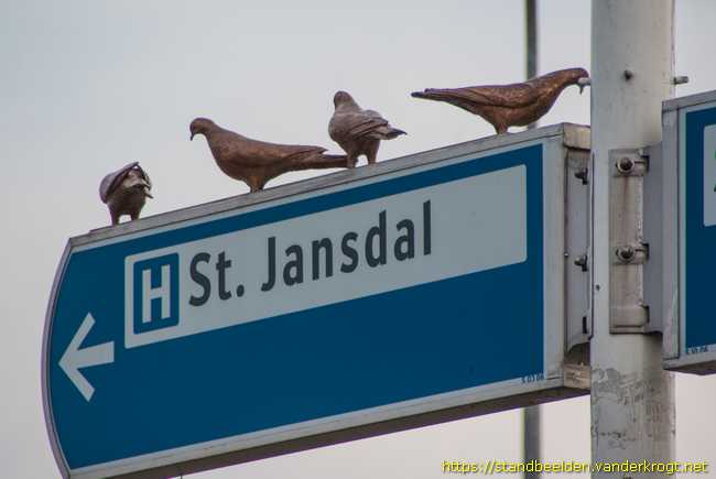 Harderwijk - Duiven van St Jansdal