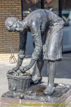 Hedel - Aardappelraapster