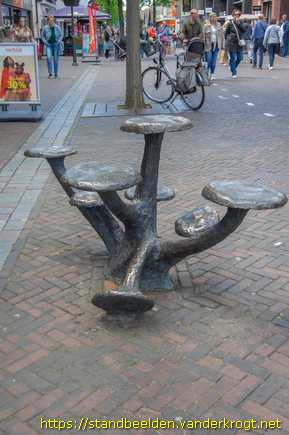 Nunspeet - Paddenstoelen