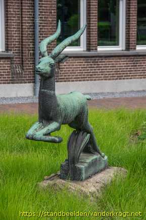 Dieren -  Gazelle