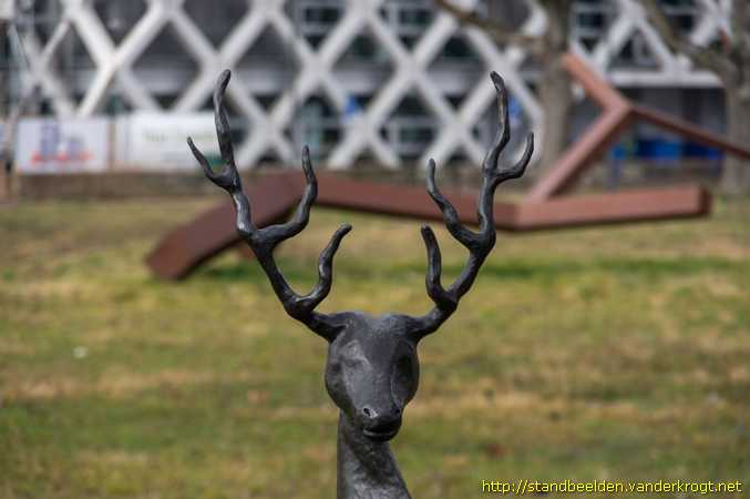 Wageningen -  Tweedelig hert (Actaeon)