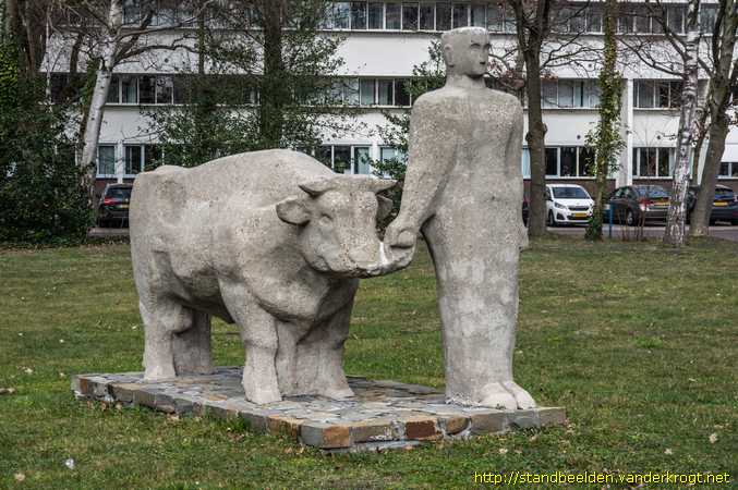 Wageningen -  Man met stier