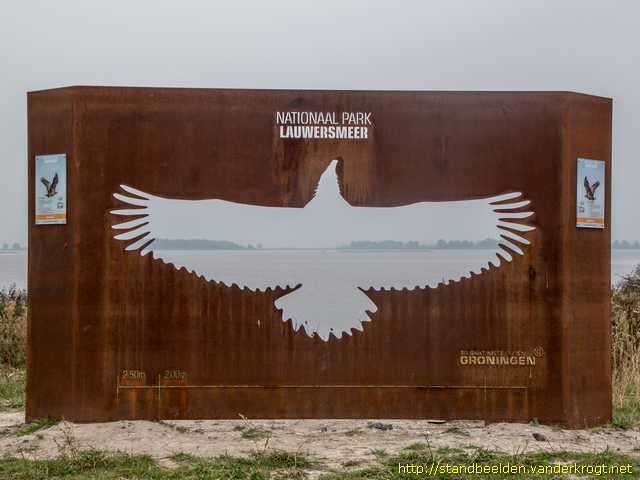 Lauwersoog -  Zeearend