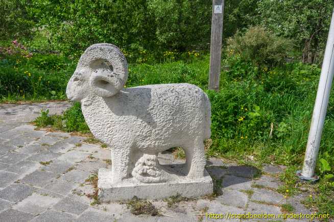 Hoogezand -  Drents heideschaap