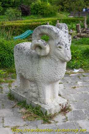 Hoogezand -  Drents heideschaap