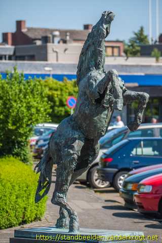 Susteren -  Steigerend ros