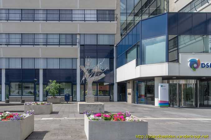 Heerlen -  Boom III