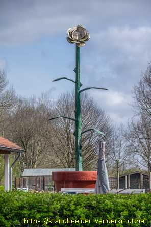 Breda -  La Rose di Rosa