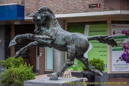 Helmond - Paard