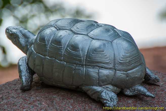 Middelrode -  Een reis om de wereld