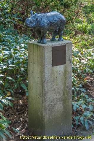 Amsterdam -  Jonge pantserneushoorn