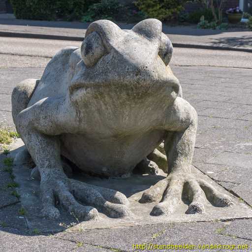 Beverwijk -  Kikker