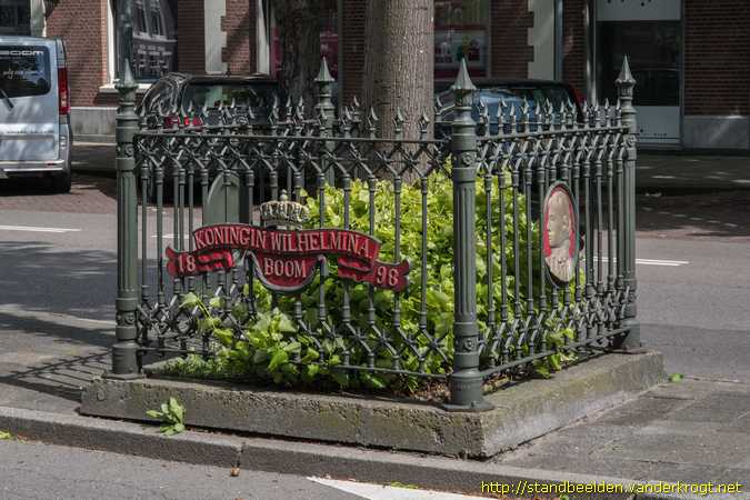 Haarlem -  Wilhelminaboom