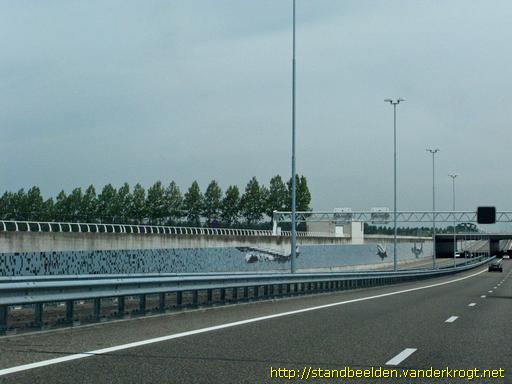 Hoofddorp -  Walvissen