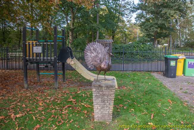 Nieuw-Vennep -  Pauw