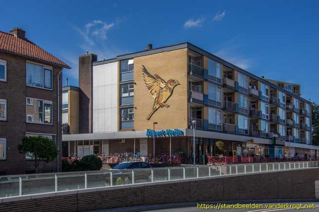 Hilversum -  Vliegende mus