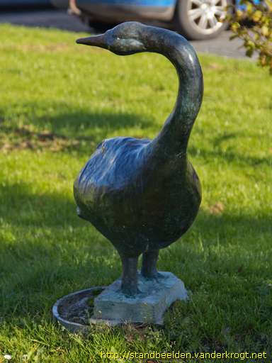 Nieuwe Niedorp -  Zwaan