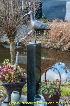 Grootschermer -  Wulp