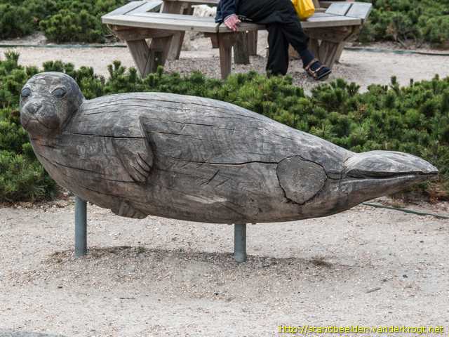 De Koog -  Zeehond