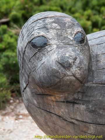 De Koog -  Zeehond