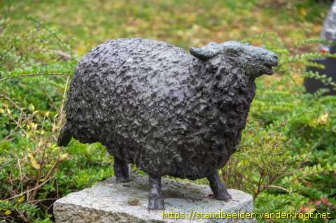 IJmuiden -  Schaap met vijf poten