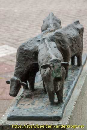 Weesp -  Vier koeien