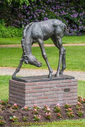Nieuw-Loosdrecht -  Veulen