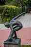 Schaatser