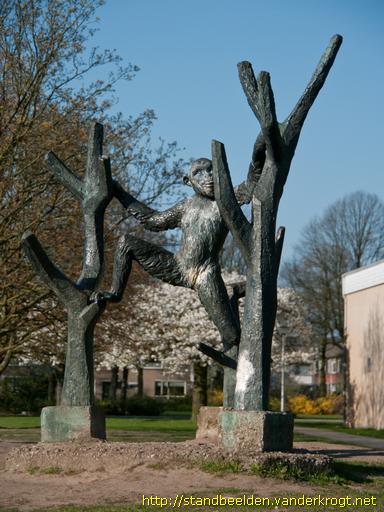 Hengelo -  Aap